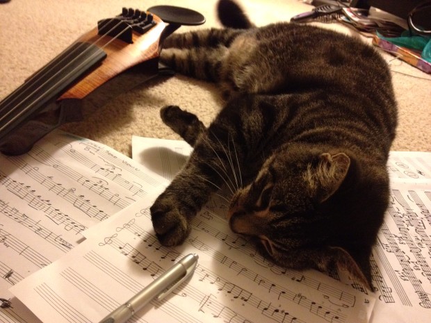 Jamie Shadowlight's cat, Naima